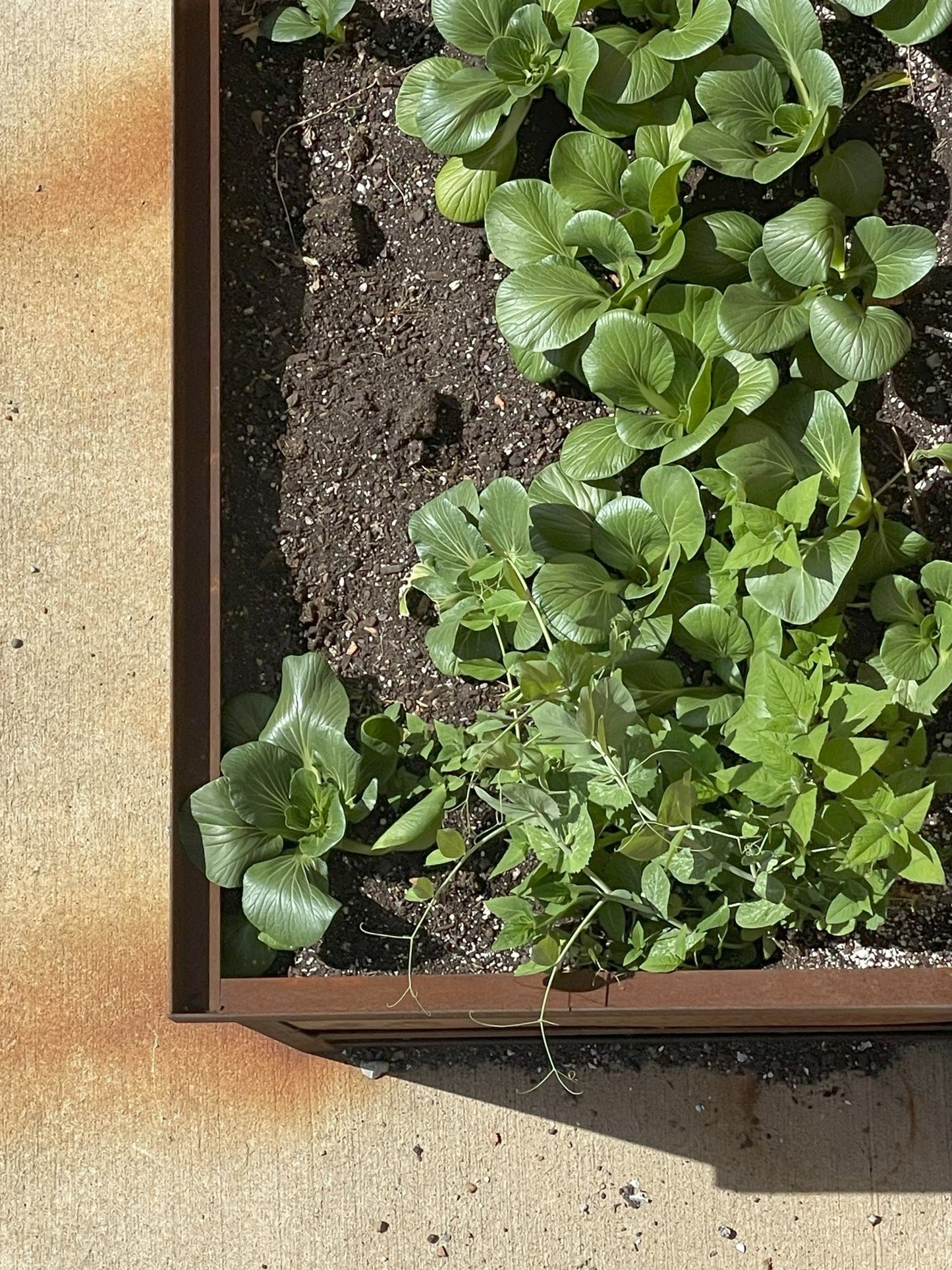 Grow - Organic Raised Bed and General-Use Soil Mix