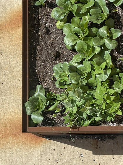 Grow - Organic Raised Bed and General-Use Soil Mix