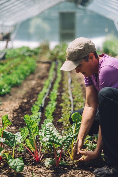 Wendell - Organic Screened Compost