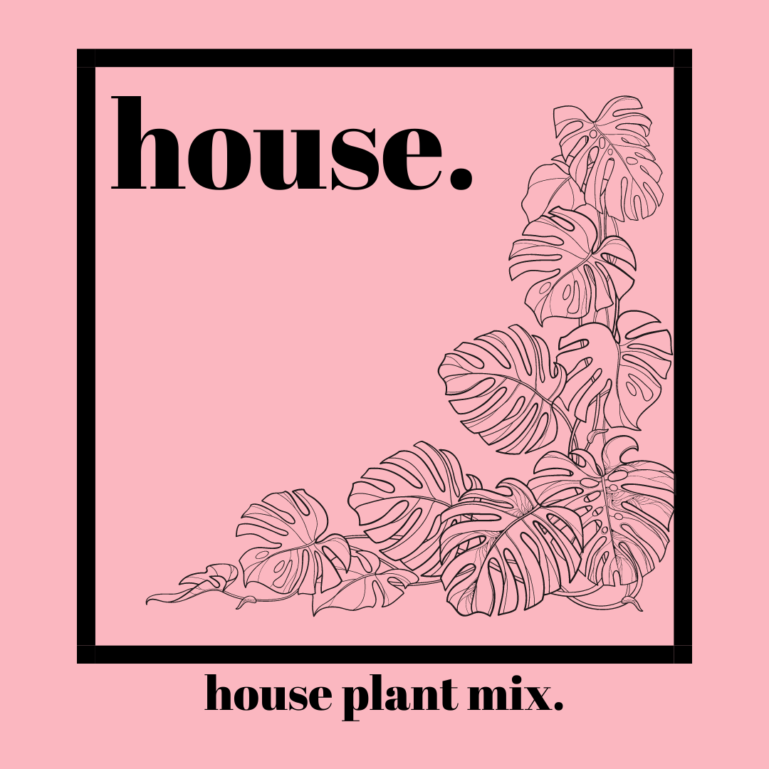 House - Organic Indoor Houseplant Soil Mix