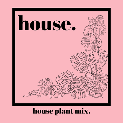 House - Organic Indoor Houseplant Soil Mix